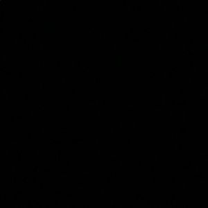 Meet your Posher, Tamara